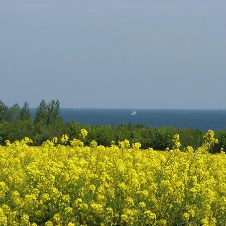Wohlbefinden Pur No 15 - Aurora Vista - Abc581 公寓