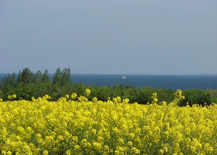 Wohlbefinden Pur No 15 - Aurora Vista - Abc581 公寓